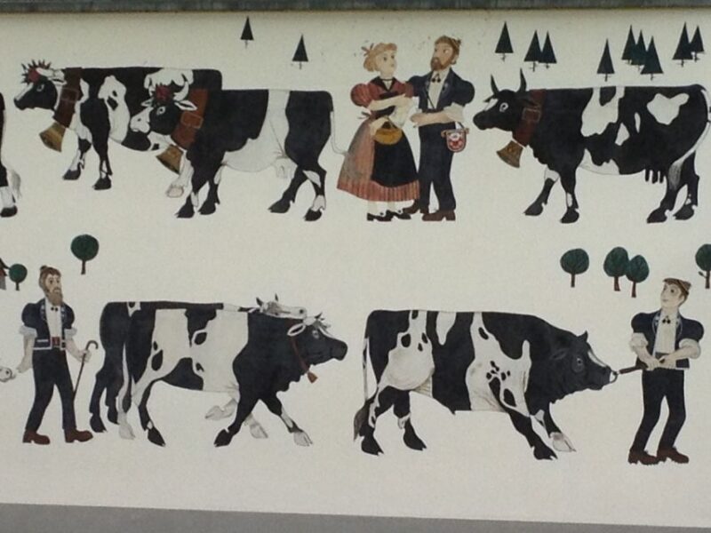 Interlaken: Cheese and Chocolate Full-Day Food Tour - Who Will Love This Tour?