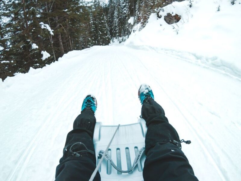 Interlaken: Guided Sledging Adventure - The Downsides and Considerations