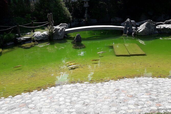 Interlaken Non Stop Intro Safari with CLOY Pier Iseltwald Private - Who Should Consider This Tour?