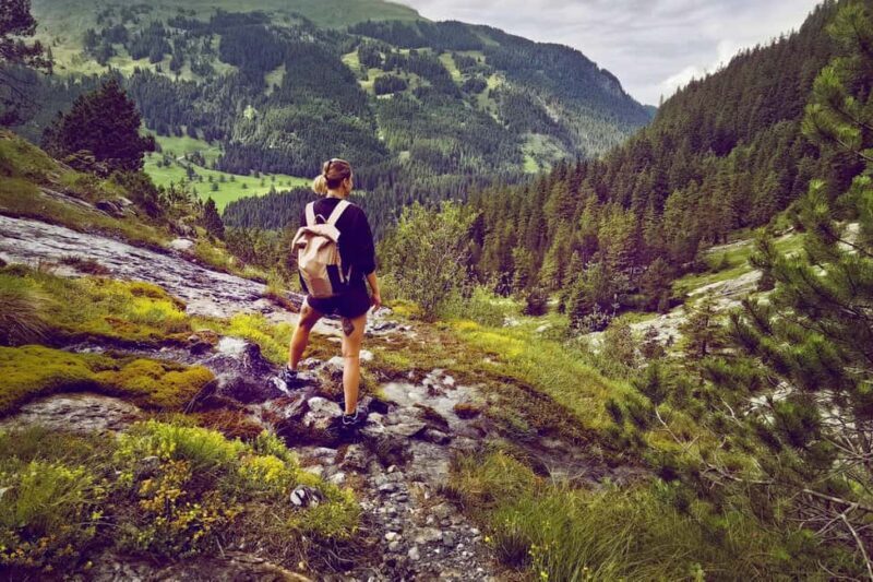 Interlaken: Rosenlaui Hike with Gorge & Alpine Hut Visit - Trekking Through Mountain Meadows and Forests