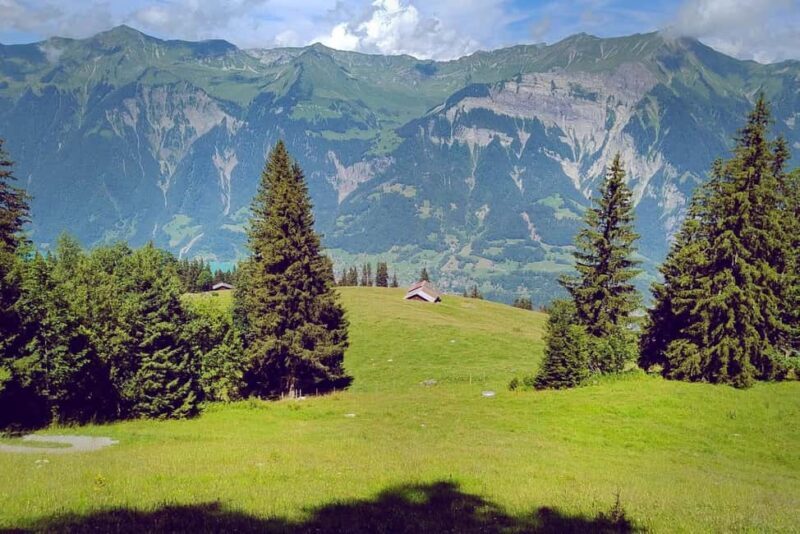 Interlaken: Scenic Walk and Raclette by the Mountain Lake - Why This Tour Works Well