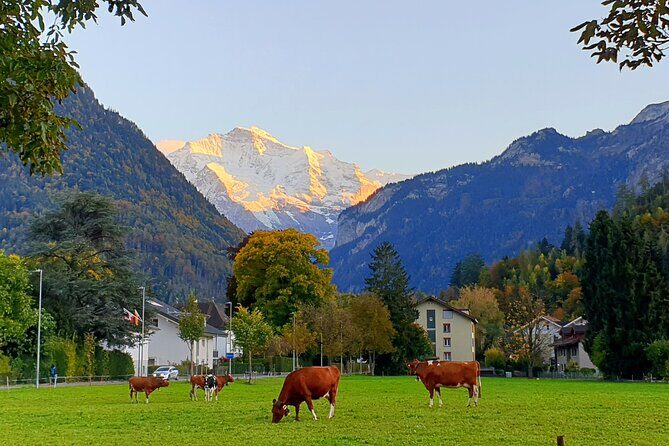 Interlaken sightseeing: Lauterbrunnen, Brienz, Interlaken - Exploring Interlaken and Surroundings: A Detailed Look at the Private Guided Tour