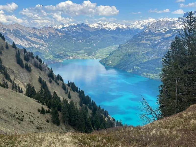 Interlaken: Summit the Augstmatthorn with a Swiss Triathlete - Is This Tour for You?