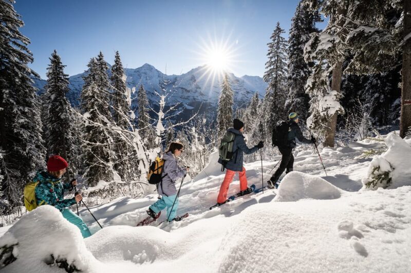 Interlaken: Winter Alpine Adventure - Snowshoe and Sledding - FAQ