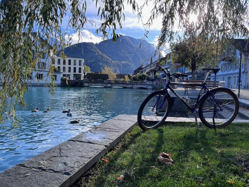 Interlaken Winter E-Bike Tour: Rivers, Lakes & Forests - Key Points