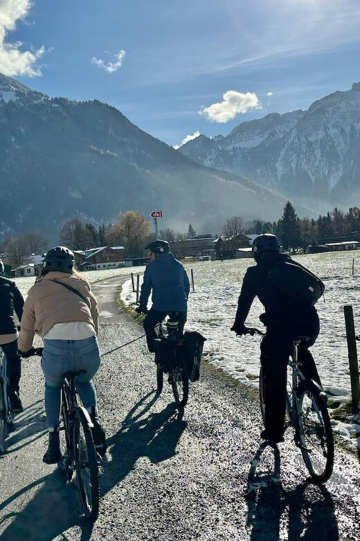 Interlaken Winter E-Bike Tour: Rivers, Lakes & Forests - Quality and Value