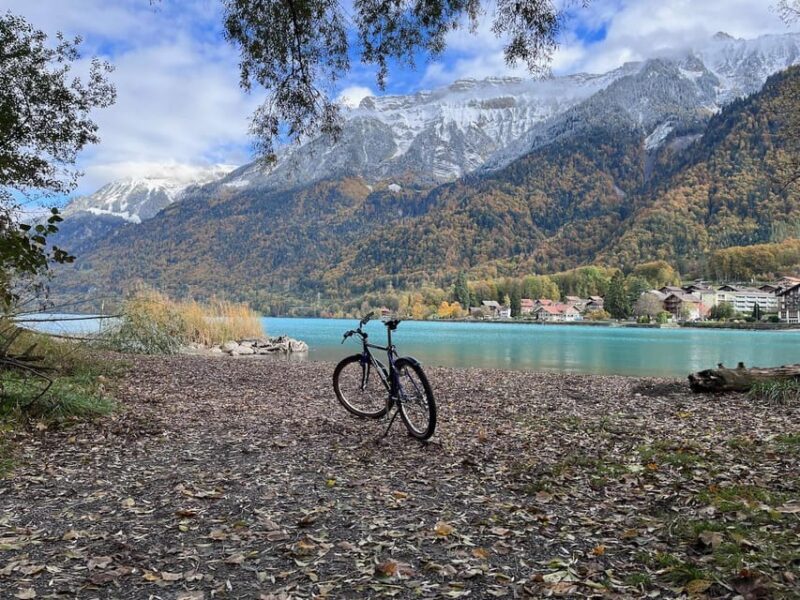 Interlaken Winter E-Bike Tour: Rivers, Lakes & Forests - What We Love and What to Keep in Mind