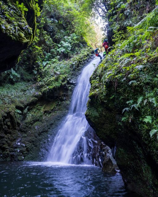 Intermediate Canyoning Madeira - What to Expect from the Tour