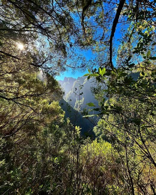 Into the Green Cauldron - Queimadas - What’s Included and Practical Tips