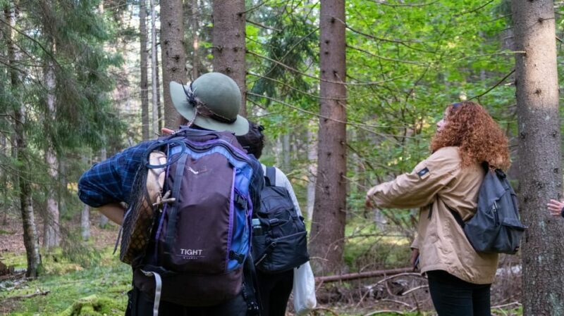 Into the wild - a sensorial experience in Stockholm's woods - Key Points