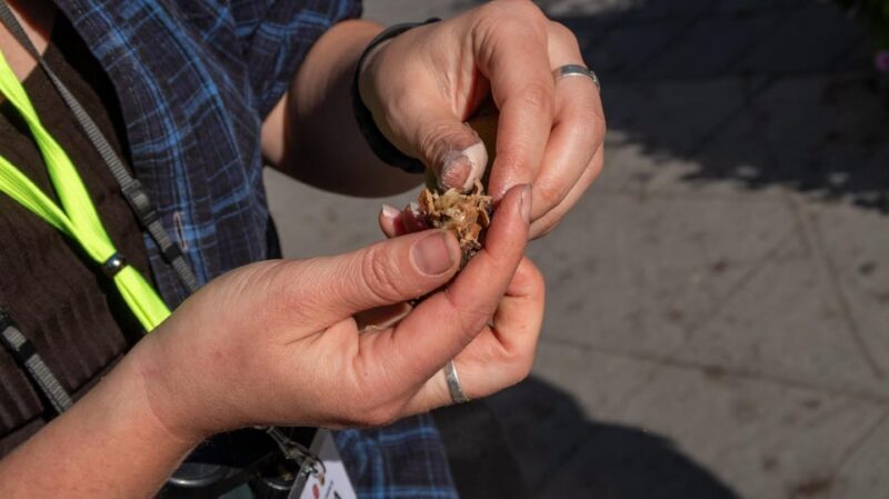 Into the wild - a sensorial experience in Stockholm's woods - Who will love this tour?