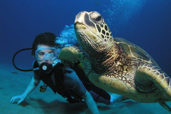 Intro/Refresher Dive Swim Ability Required - Why This Maui Scuba Experience Is Worth Considering
