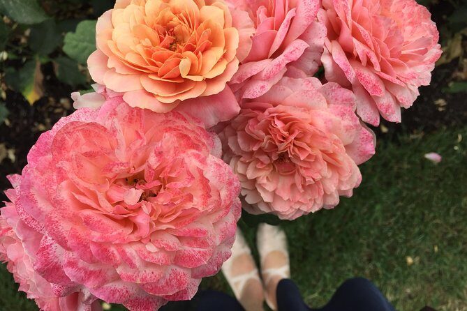 Intro to Portland Small Group Walking Tour - Final Thoughts