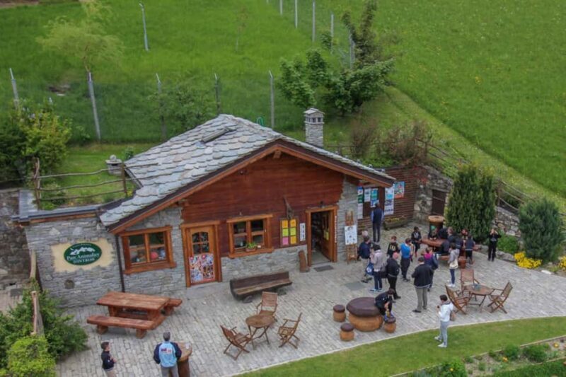 Introd: Entry Ticket to Parc Animalier - The Practical Side: Logistics and Tips