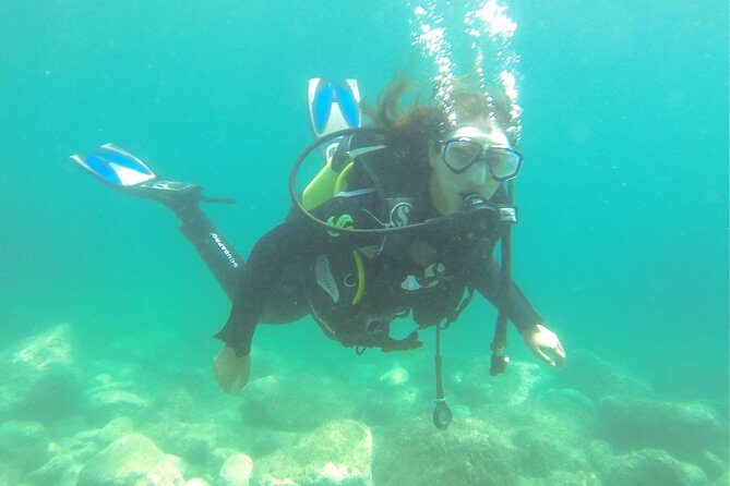 Introdive - What to Expect from the Introdive Experience