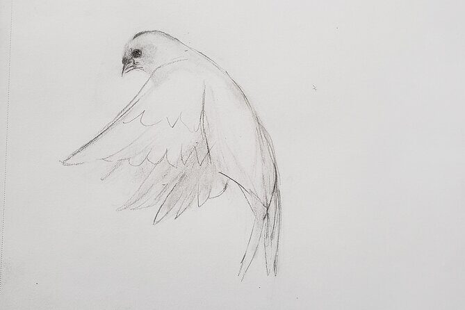 Introduction to Drawing - Key Points