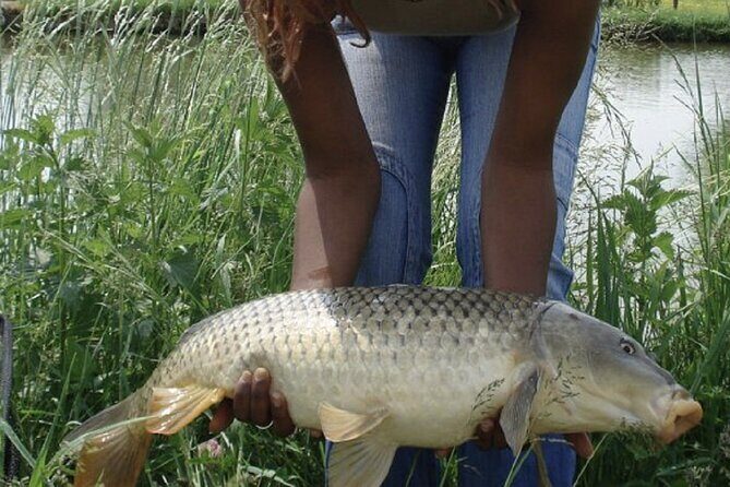 Introduction to fishing in Strasbourg - The Sum Up