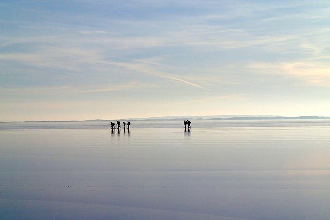 Introduction to Ice Skating on Natural Ice in Stockholm - Midday Outdoor Lunch