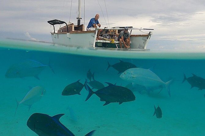 Introduction to sailing and discovering the lagoon - Snorkeling and Marine Encounters