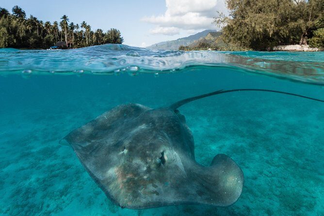 Introduction to sailing and discovering the lagoon - Food, Drinks, and Comfort