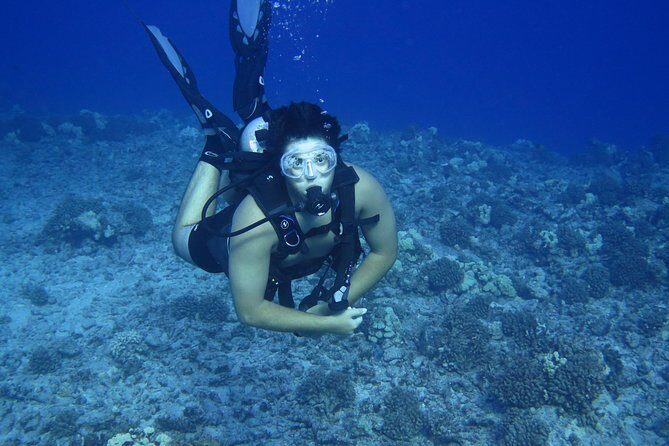 Introductory Beach Scuba Dive - Practical Tips for Booking & Going