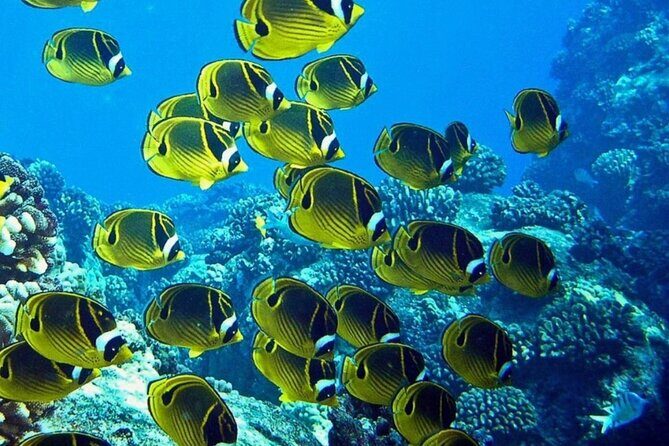 Introductory Beach Scuba Dive - Final Thoughts