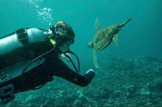 Introductory Beach Scuba Dive - FAQs