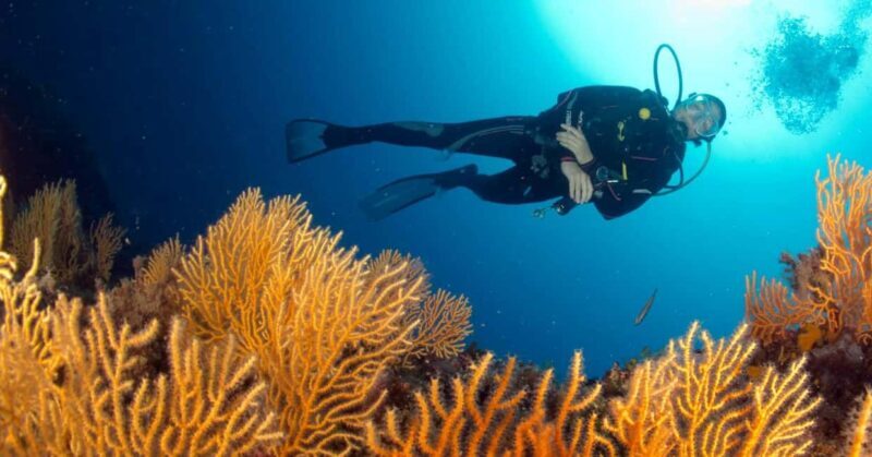 Introductory scuba diving - What to Expect from the Experience
