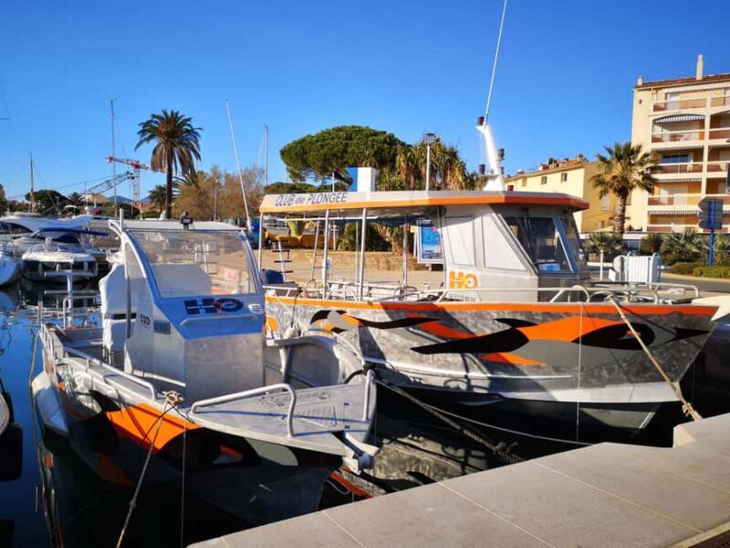 Introductory scuba diving - Price and Value