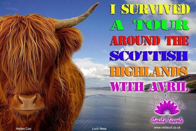 Invergordon Port PRIVATE TOUR 16 passengers MAXIMUM - In Summary: Is This Tour for You?