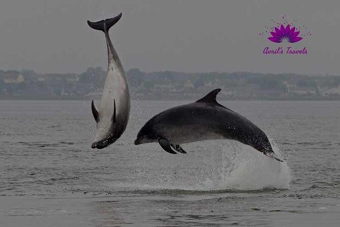 INVERGORDON PORT Tour Dunrobin, Dornoch & Distillery - FAQs