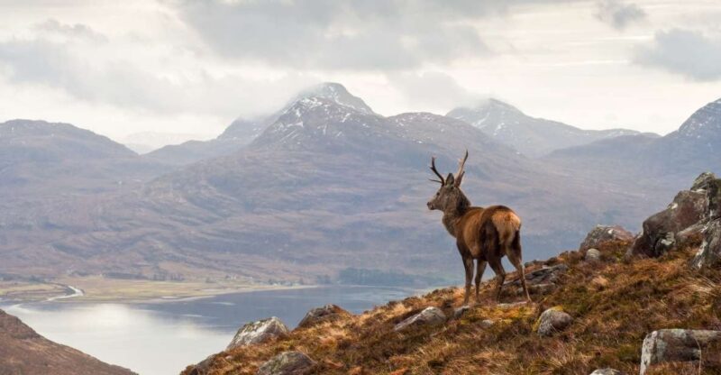 Inverness: Applecross, Loch Carron & Wild Highlands Day Tour - The Heart of the Highland Adventure
