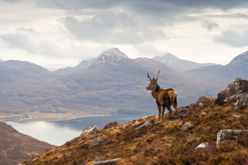 Inverness: Applecross, Loch Carron & Wild Highlands Day Tour - Guides and Reviews
