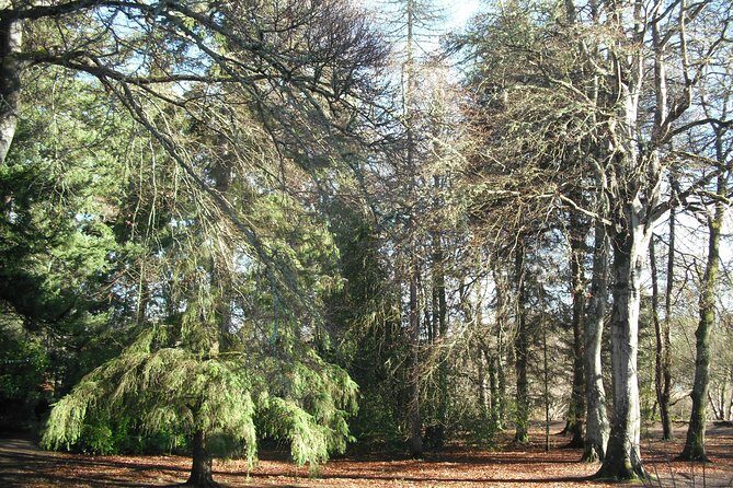 Inverness Bike Tour a 2 hours guided bike tour around the Waterways of Inverness - FAQ