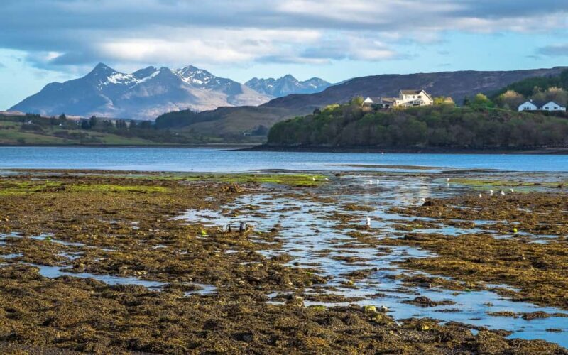 Inverness: Isle of Skye, Fairy Pools, & Castles Day Trip - Transportation and Group Size