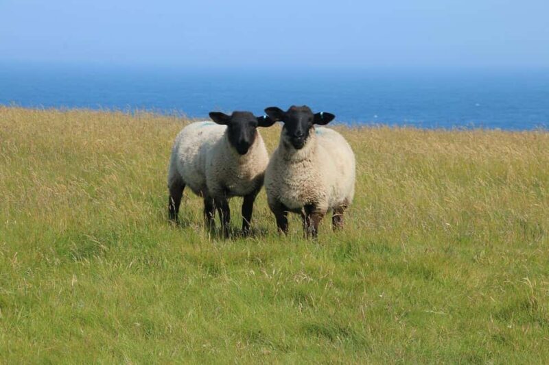 Inverness: John OGroats & Northern Coast Private Voyage - Starting Point and Logistics