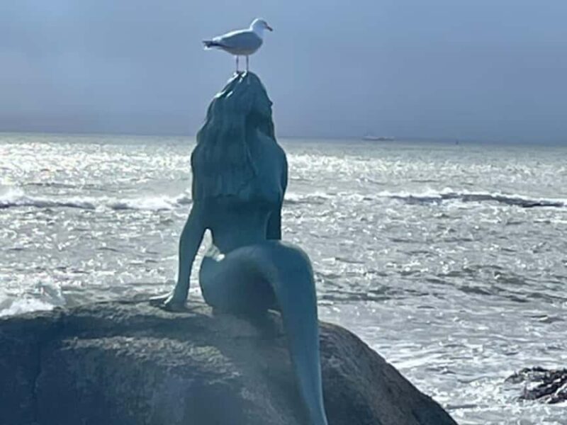 Inverness: Pictish Trail Tour with Ferry Ride - What To Expect in Terms of Experience