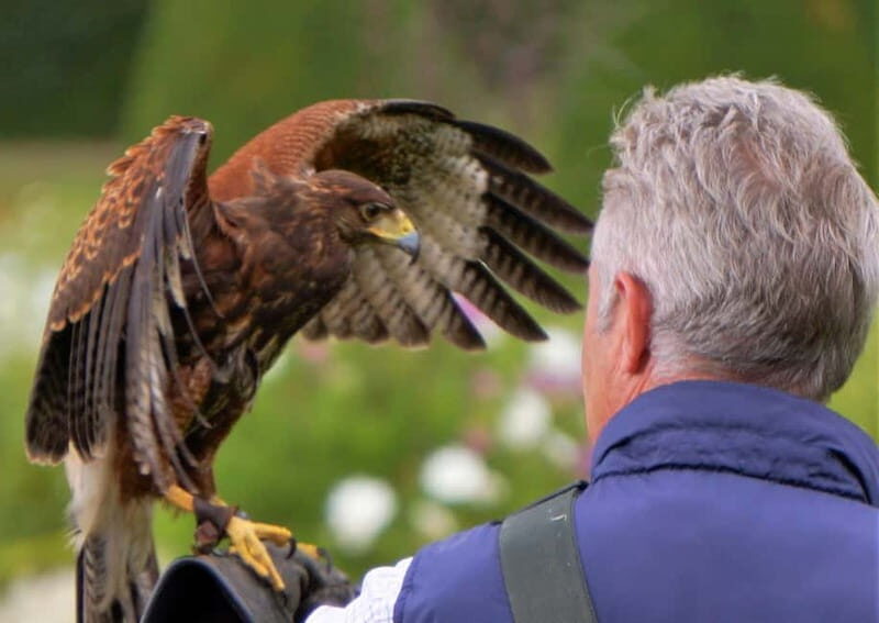 Inverness: Relaxed Private Northern Scottish Highlands Tour - What We Loved and What to Keep in Mind