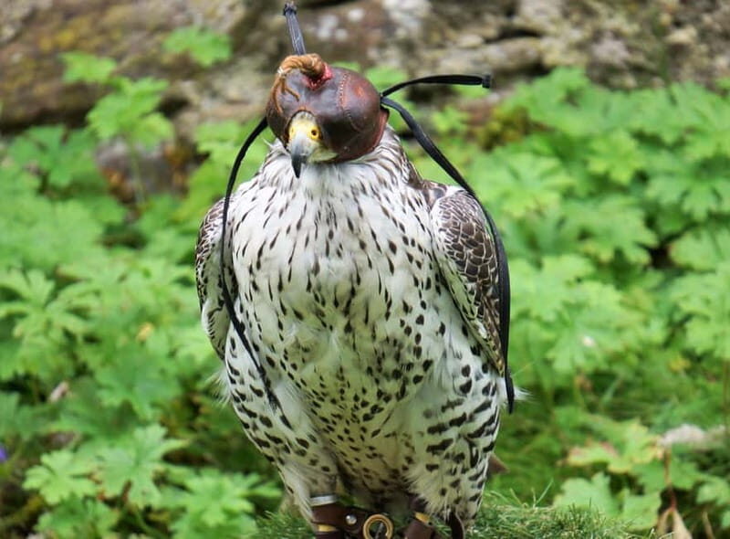 Inverness: Relaxed Private Northern Scottish Highlands Tour - Final Thoughts