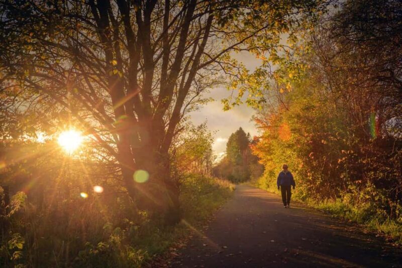Inverness, Stunning Full-Day Private Guided Hike & Lunch - Exploring Reelig Glen and Its Unique Charm
