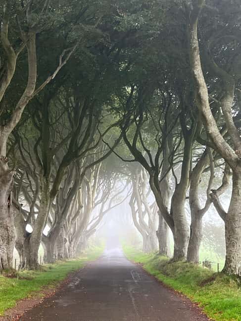 Ireland: Belfast City and Giants Causeway Tour - Key Points