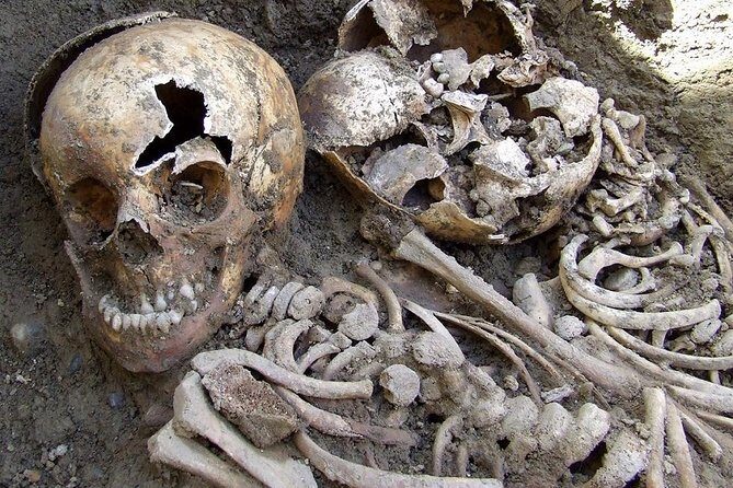 Irish Famine Museum / Exhibition Dublin - The Value for Money