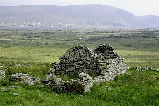 Irish Famine Museum / Exhibition Dublin - Who Will Enjoy This Experience?