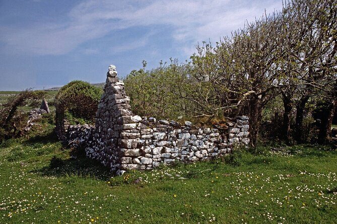 Irish Famine Museum / Exhibition Dublin - FAQ about the Irish Famine Museum / Exhibition Dublin