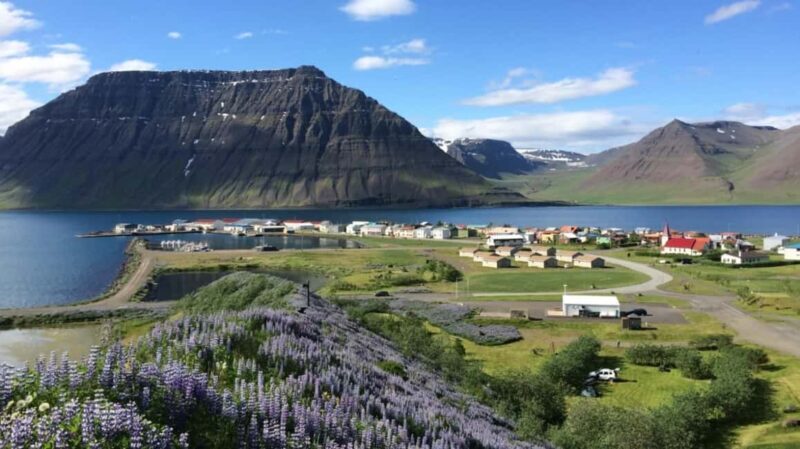 Ísafjörður: Dynjandi Waterfall & Flateyri Village Tour - Exploring the Westfjords: What to Expect