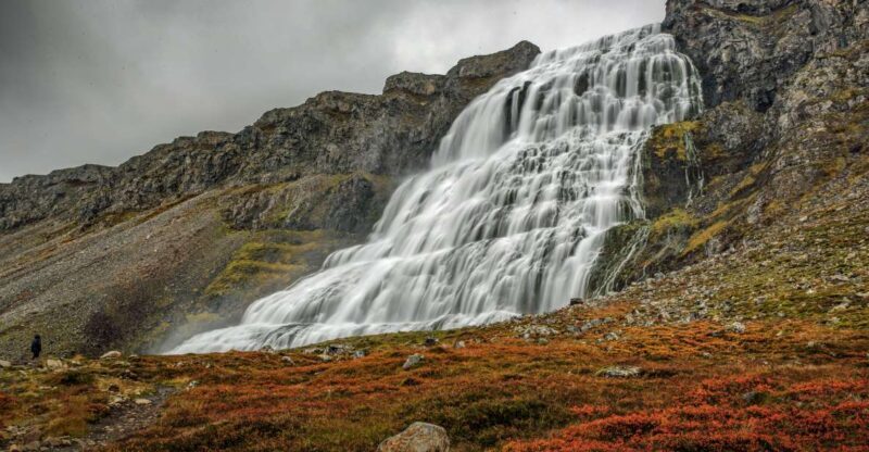 Isafjordur: Dynjandi Waterfall Tour and Icelandic Farm Visit - Who Should Consider This Tour?