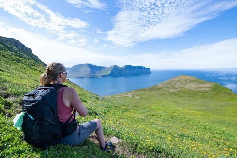 Ísafjörður: Hornstrandir Nature Reserve Guided Hike - Key Points