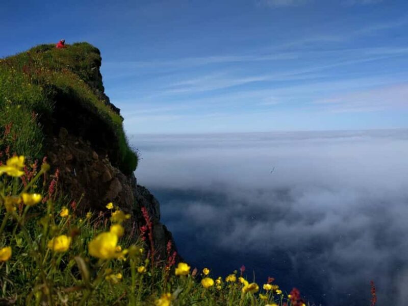 Ísafjörður: Hornstrandir Nature Reserve Guided Hike - Possible Drawbacks and Considerations