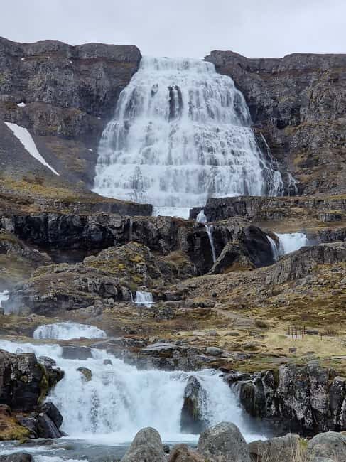 Ísafjörður Shore Excursion: Dynjandi & Westfjords - Key Points