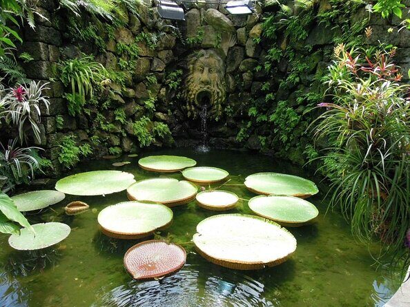 Ischia and La Mortella Gardens - Why This Tour Is Worth Considering